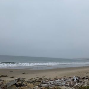 Meet your Posher, Carnel